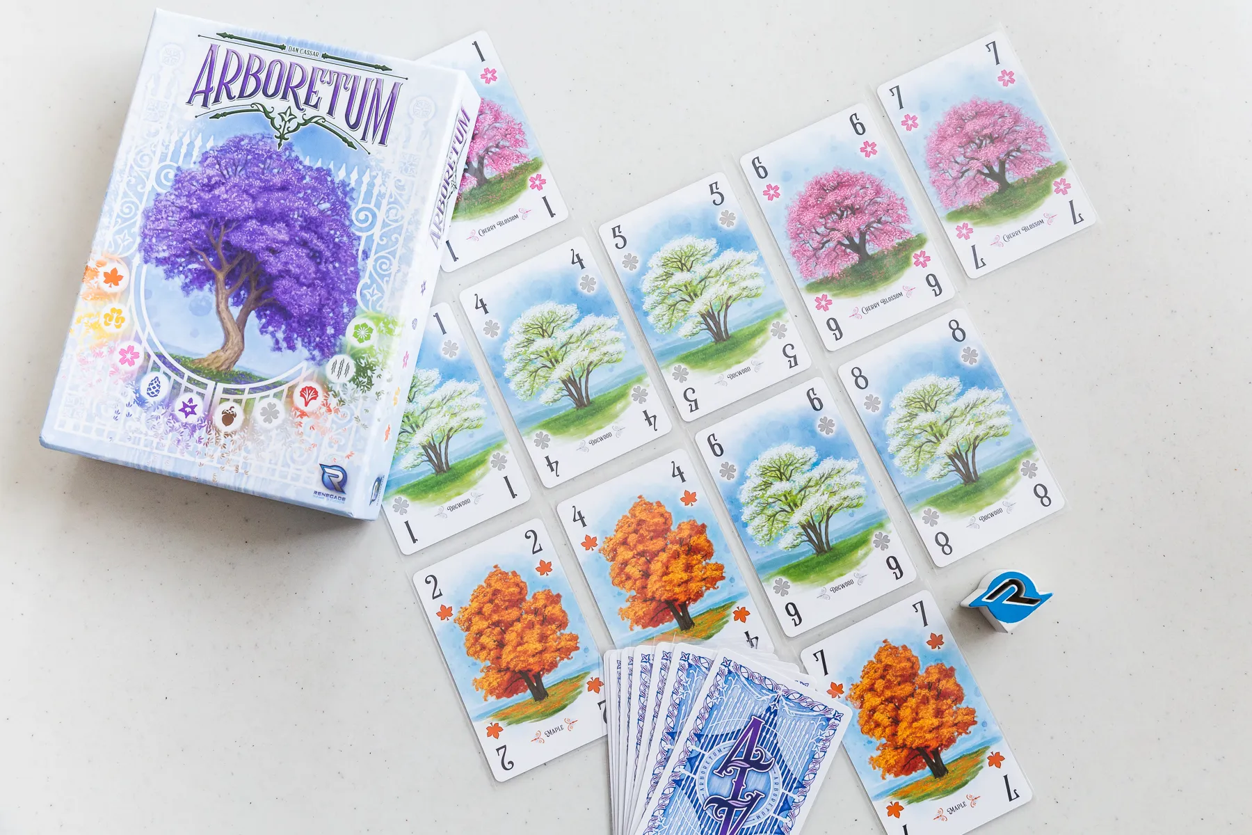 A picture of the game