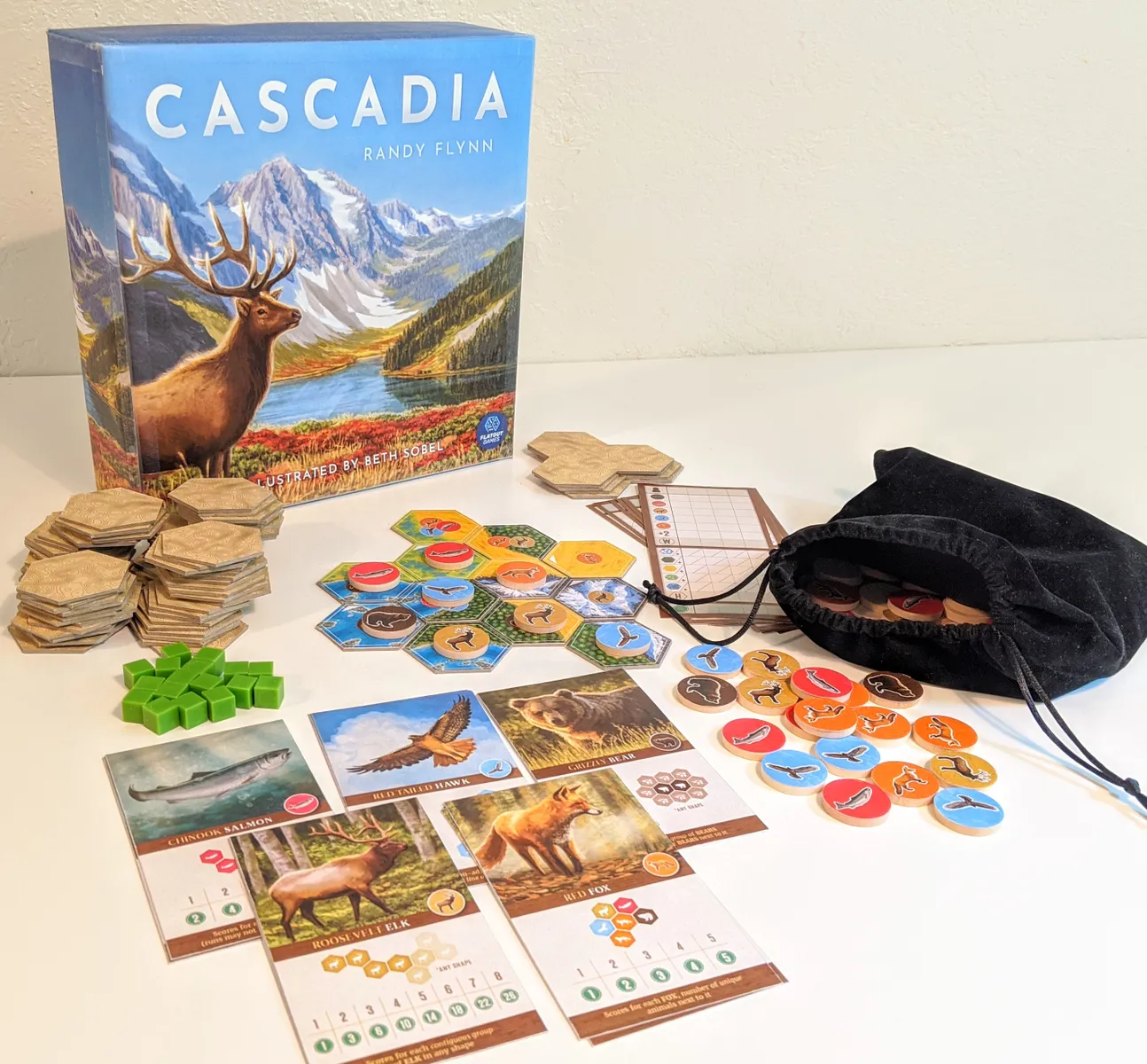 A picture of the game