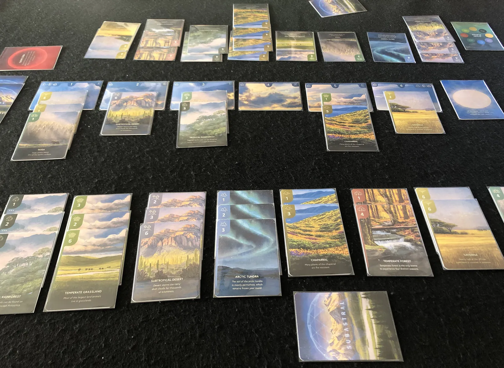 A picture of the game