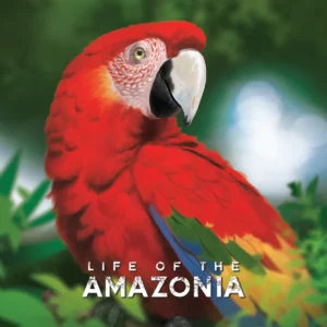 Life of the Amazonia настолна игра